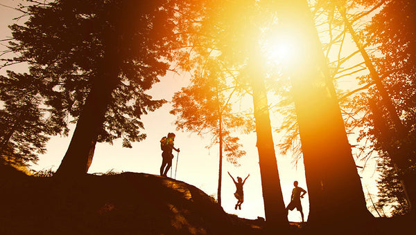 friends hiking in the woods at sunset using a solar generator