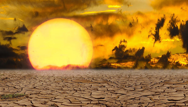 Heatwave in the UK