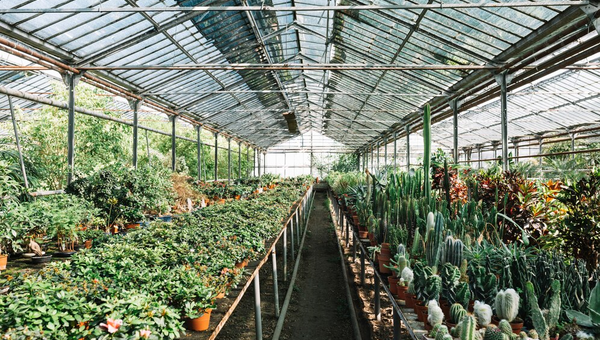 Solar Greenhouse