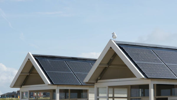 solar panels on roofs power house with low costs as a major advantage for solar energy