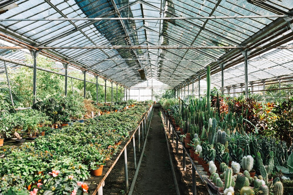 Heating A Greenhouse With Solar Panels: Full Guide